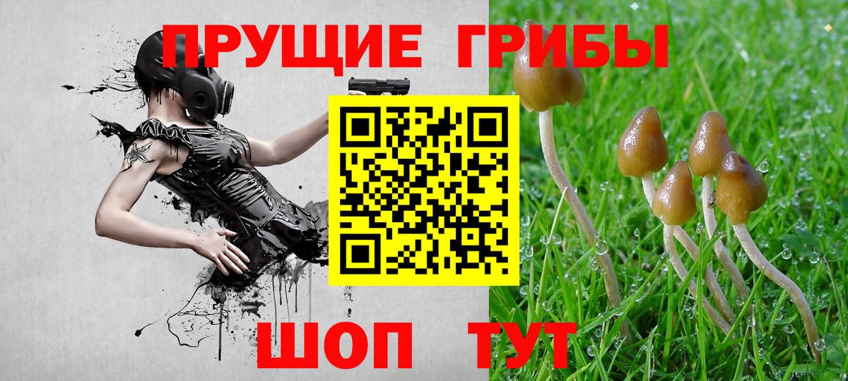 Галлюциногенные грибы Cubensis Североморск
