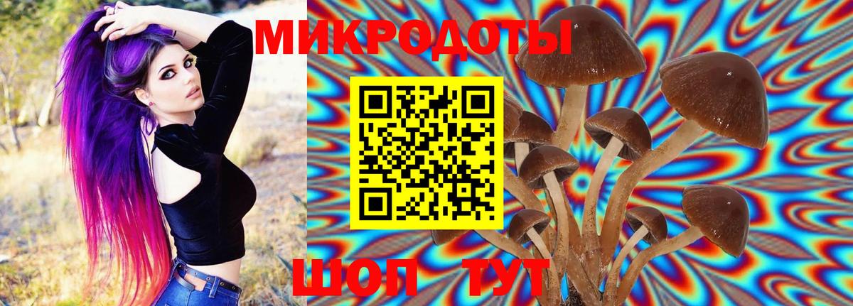 Североморск  Псилоцибиновые грибы Cubensis  Галлюциногенные грибы Cubensis  Вход с VPN 